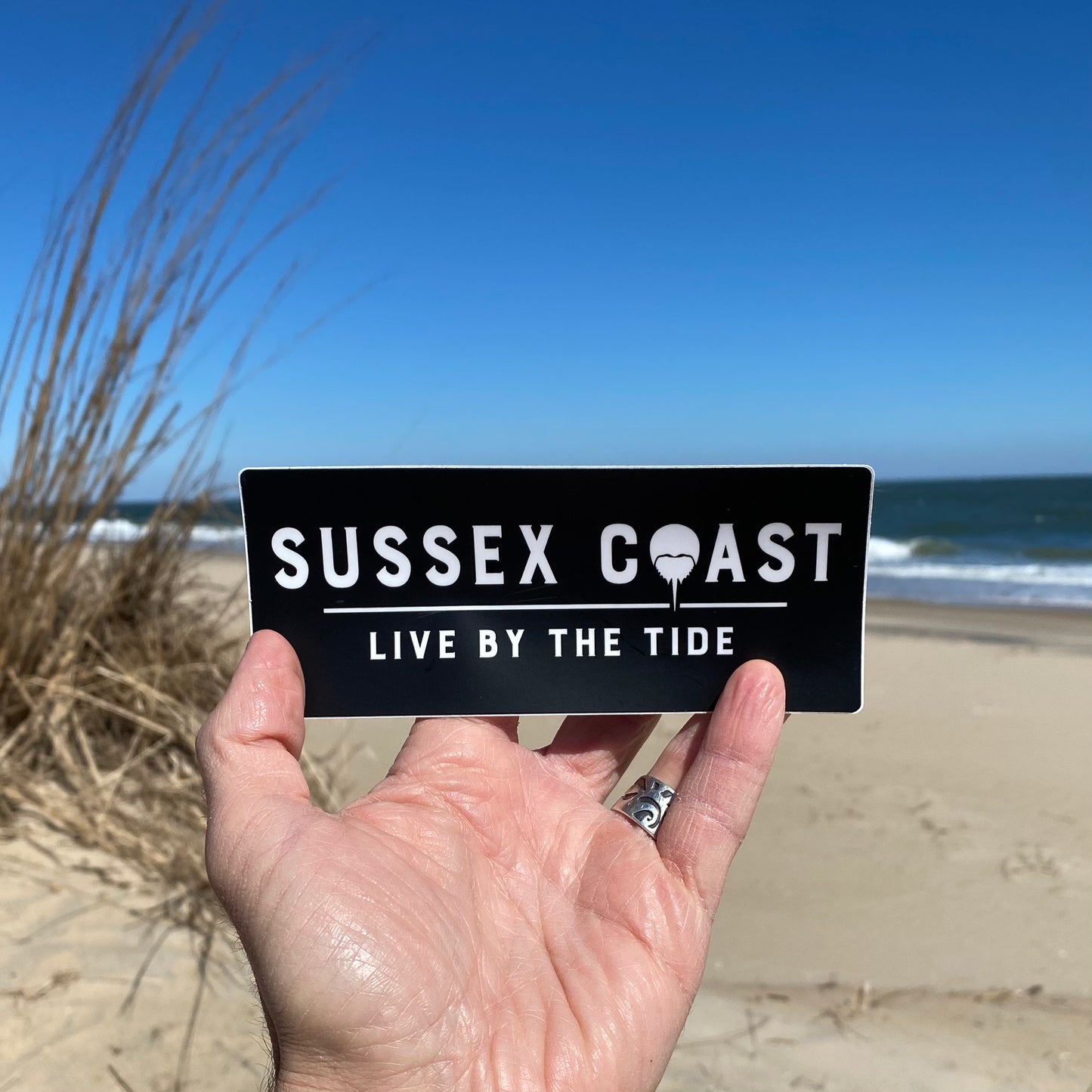 Sussex Coast - Logo in Black (2 stickers)